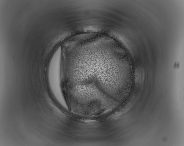 X0000092270637200709281224