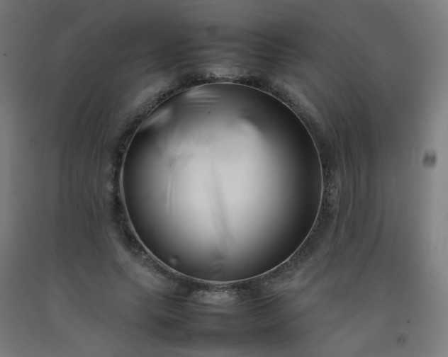 X0000092270639200709281224