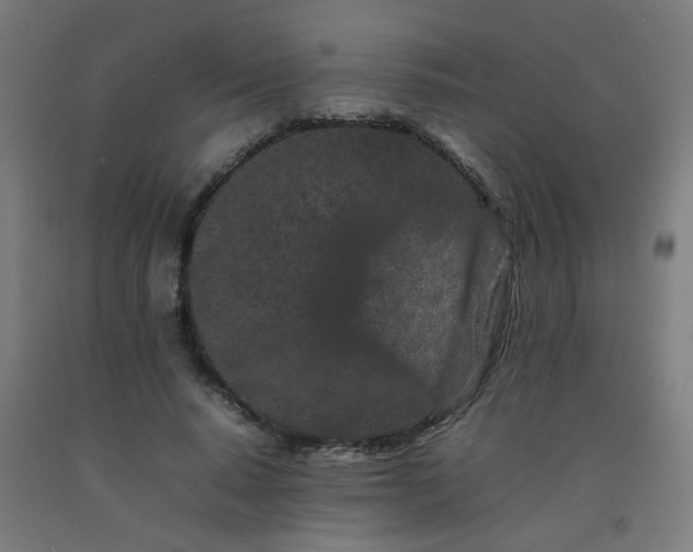 X0000092270640200709281224