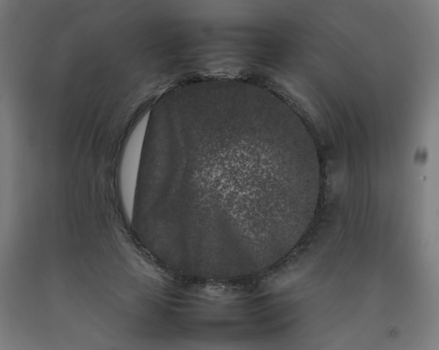X0000092270641200709281224