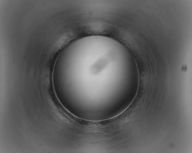 X0000092270642200709281224