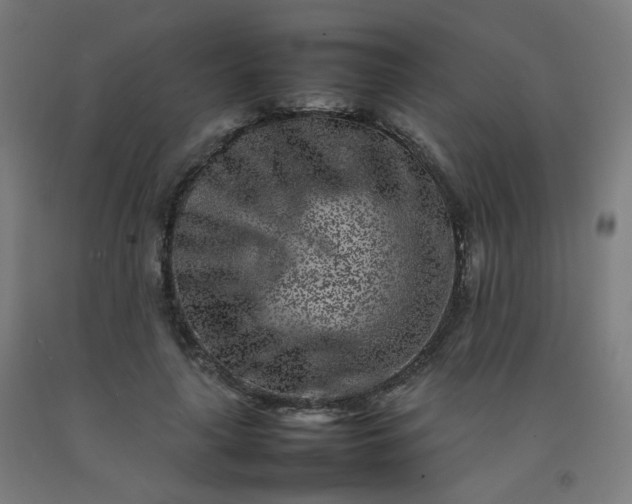 X0000092270643200709281224