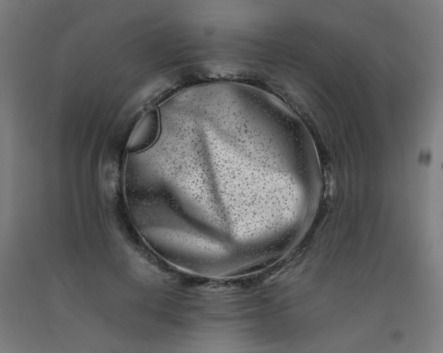 X0000092270648200709281225