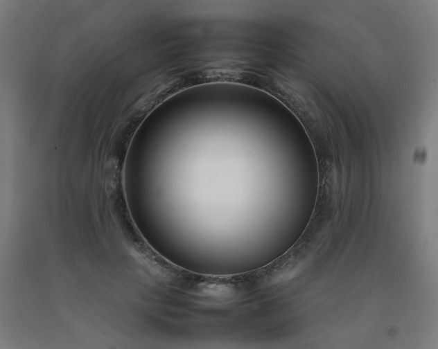 X0000092270649200709281225