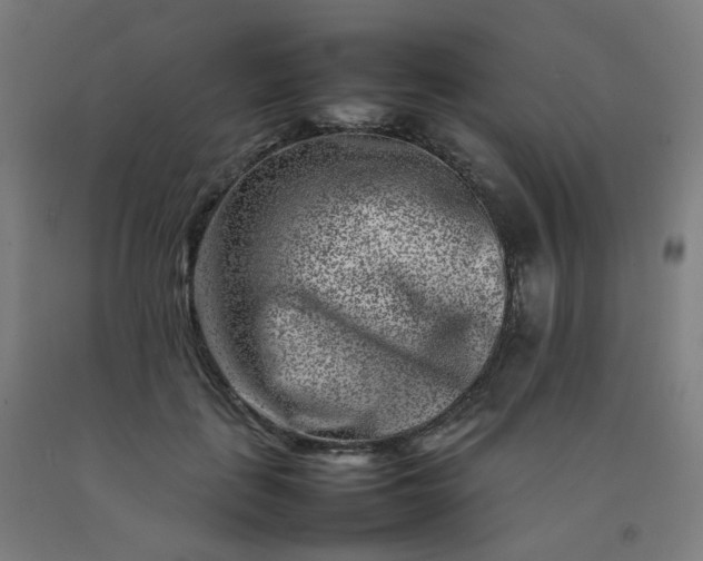 X0000092270651200709281225