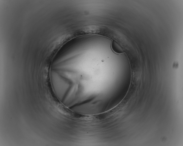 X0000092270652200709281225