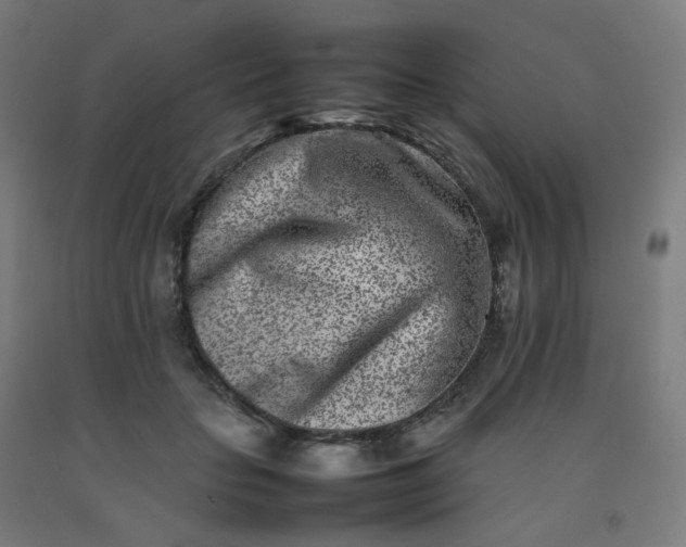 X0000092270653200709281225