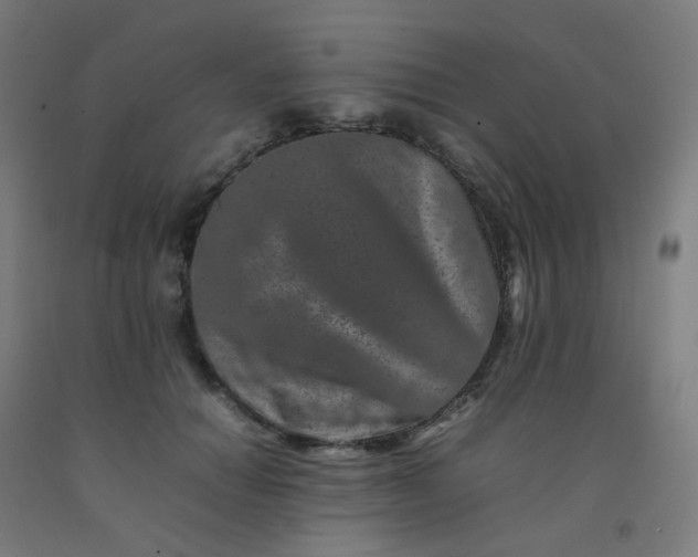 X0000092270654200709281225