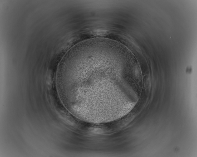 X0000092270655200709281225