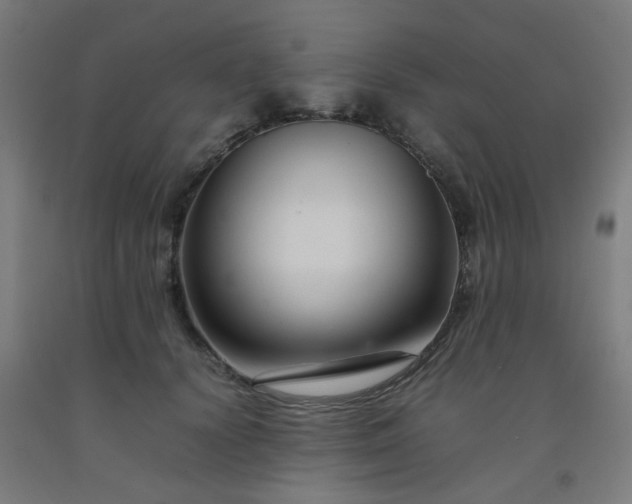 X0000092270656200709281225