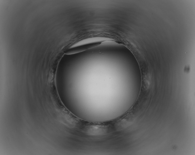 X0000092270657200709281225