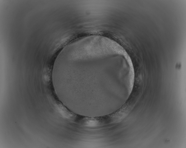 X0000092270658200709281225