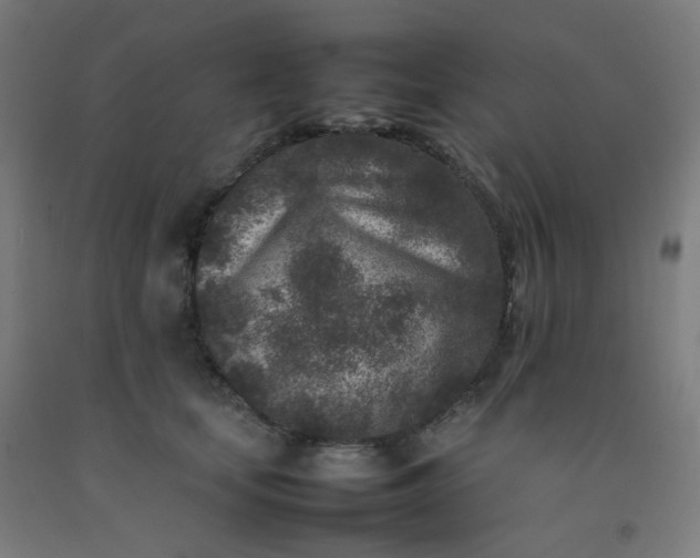 X0000092270659200709281225