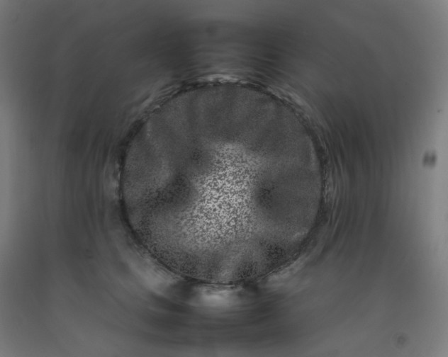 X0000092270661200709281225