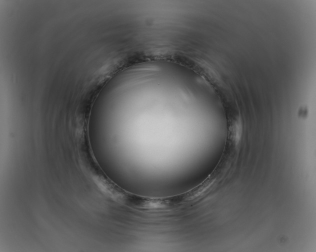 X0000092270662200709281225