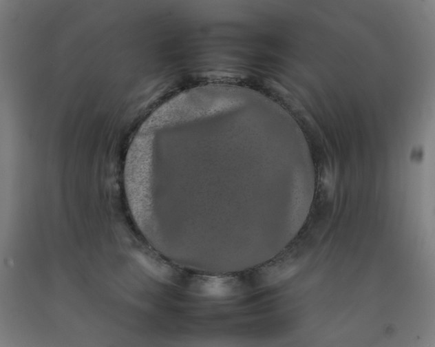 X0000092270663200709281225