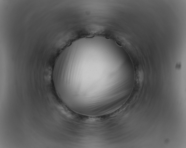 X0000092270664200709281225