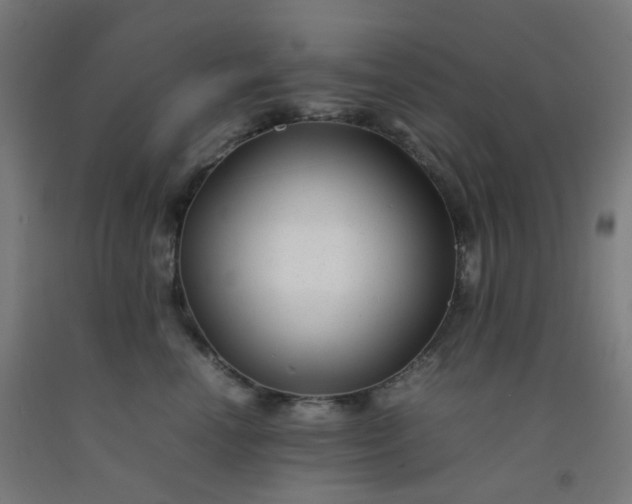 X0000092270666200709281225