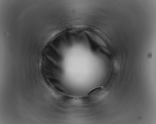 X0000092270668200709281225