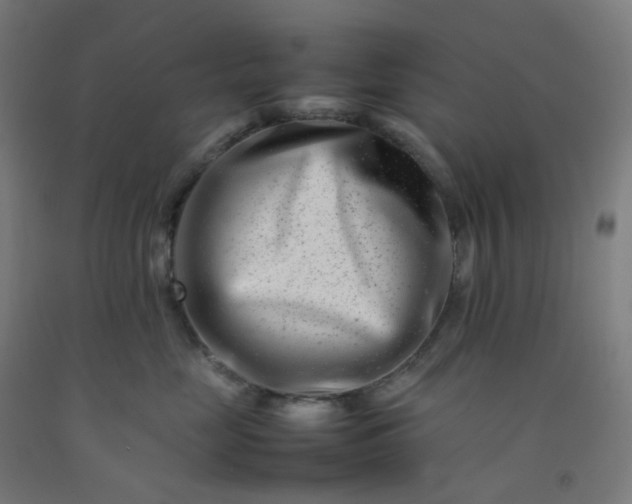 X0000092270669200709281225