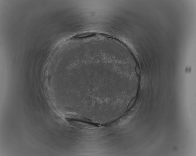 X0000092270673200709281224