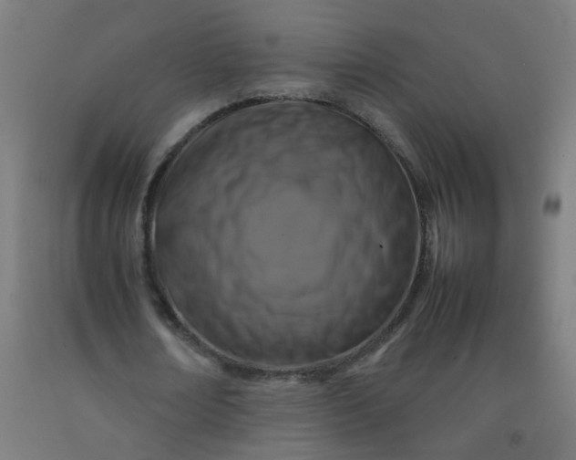 X0000092270674200709281224