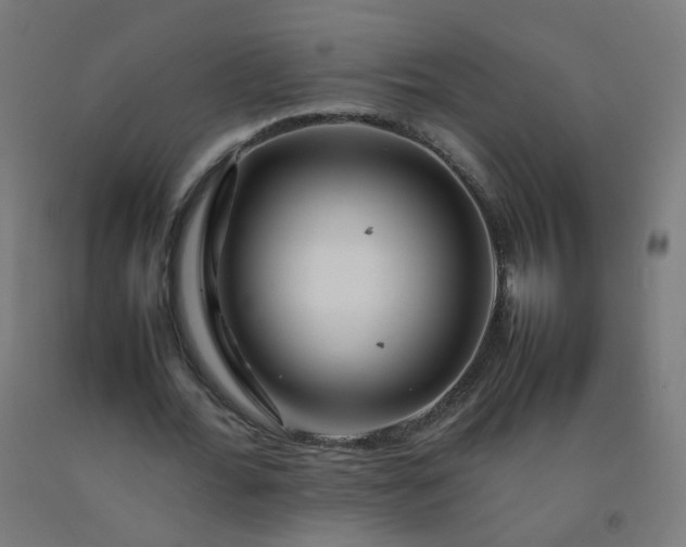 X0000092270676200709281224