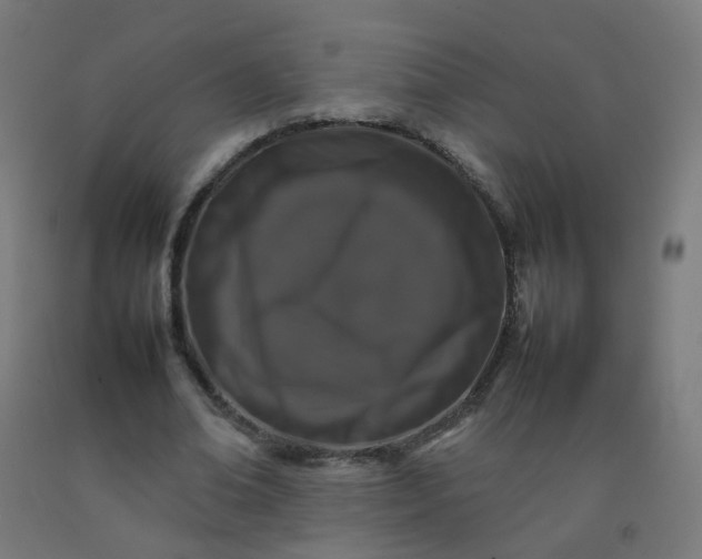 X0000092270678200709281224