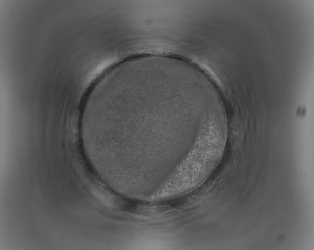 X0000092270679200709281224