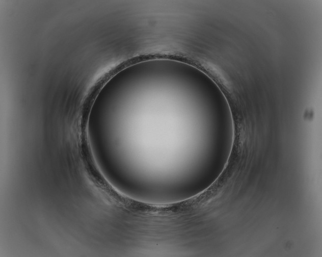 X0000092270680200709281224