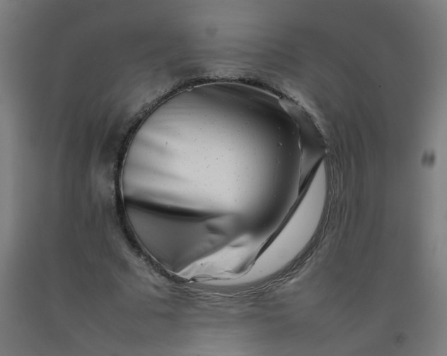 X0000092270681200709281224