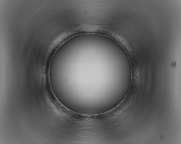 X0000092270682200709281224