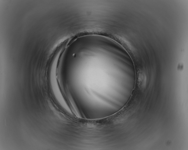 X0000092270684200709281224