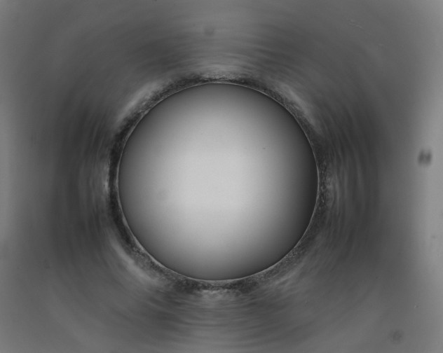 X0000092270686200709281224