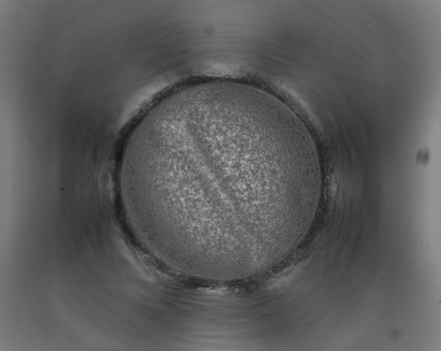 X0000092270688200709281224