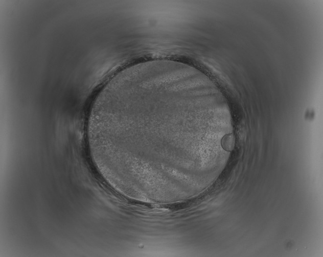 X0000092270691200709281224