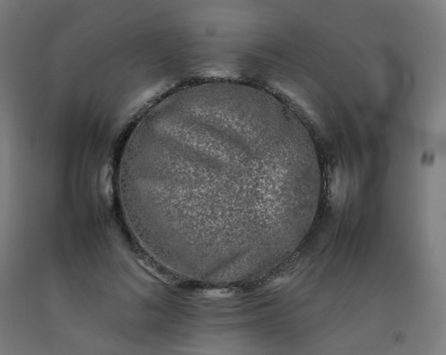 X0000092270692200709281224