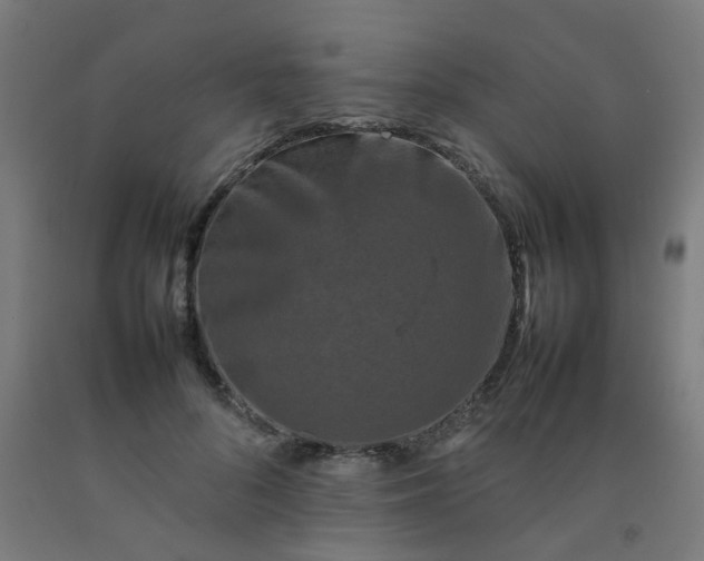 X0000092270696200709281224
