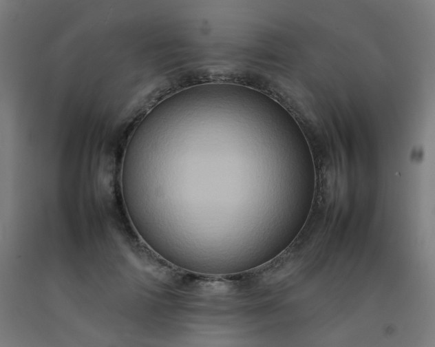 X0000092270698200709281224