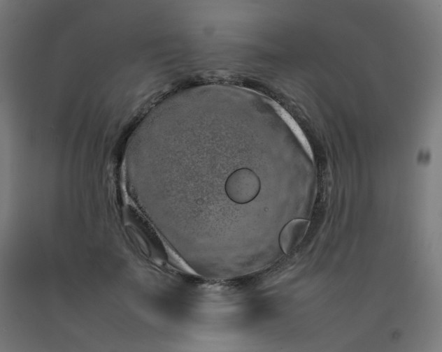 X0000092270699200709281224
