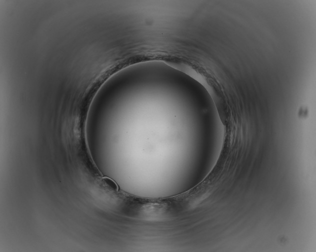 X0000092270700200709281224