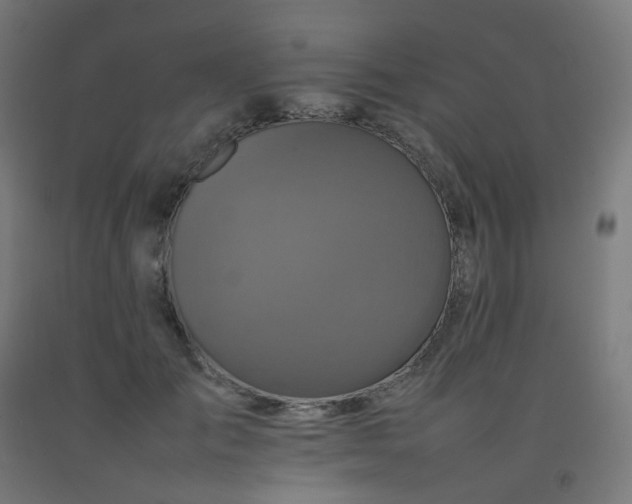 X0000092270701200709281224