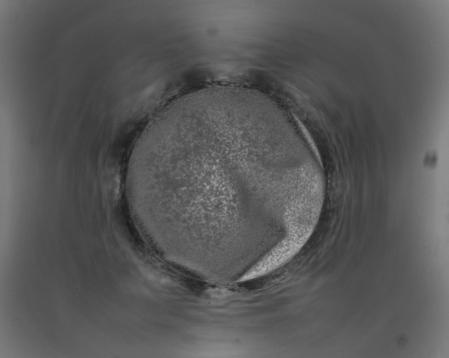 X0000092270703200709281224