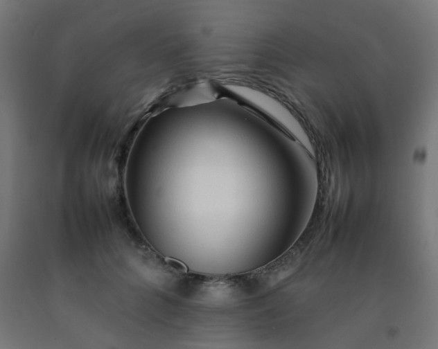 X0000092270704200709281224