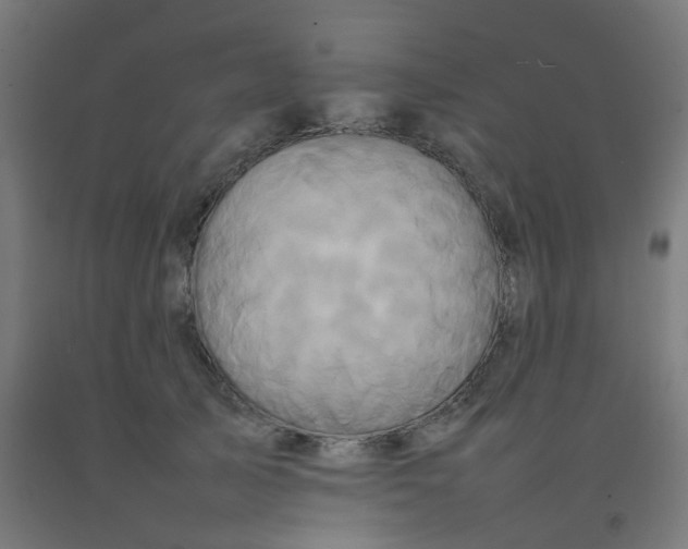 X0000092270705200709281224