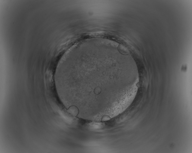 X0000092270711200709281224