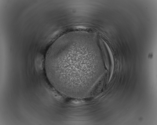 X0000092270712200709281224