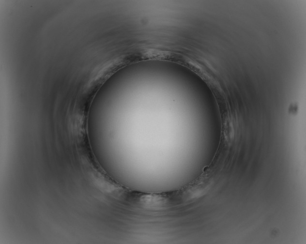 X0000092270714200709281224