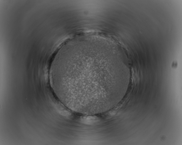 X0000092270716200709281224