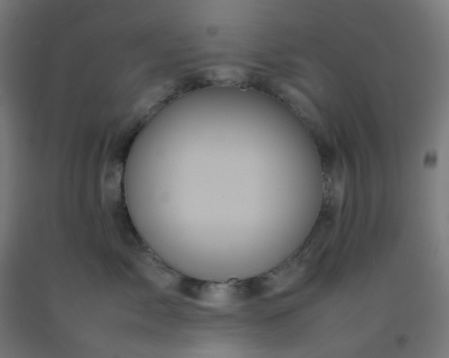X0000092270717200709281224